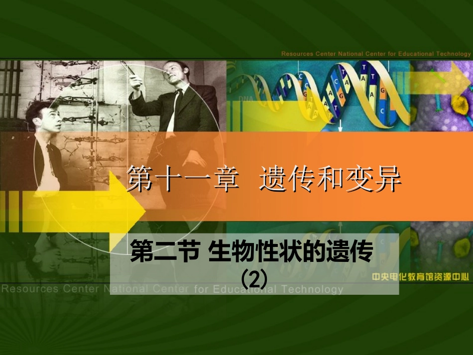 37第十一章---遗传和变异(第二节-生物性状的遗传)(2014年12月5日)(2)_第1页