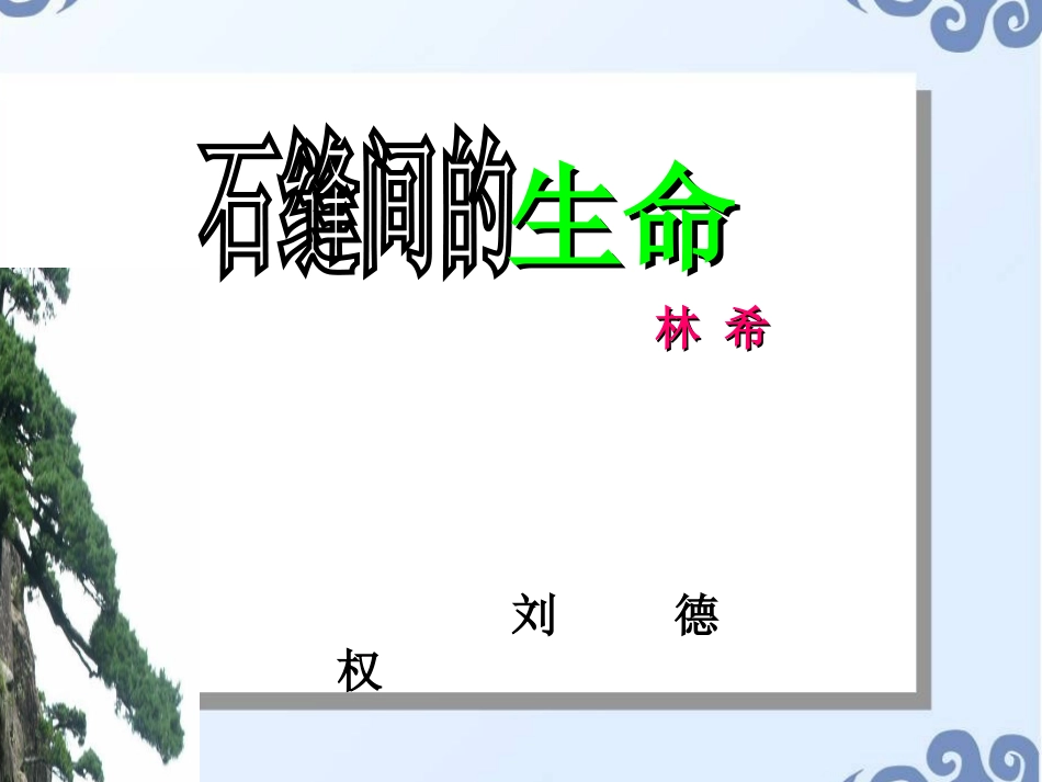 《石缝间的生命》_第2页