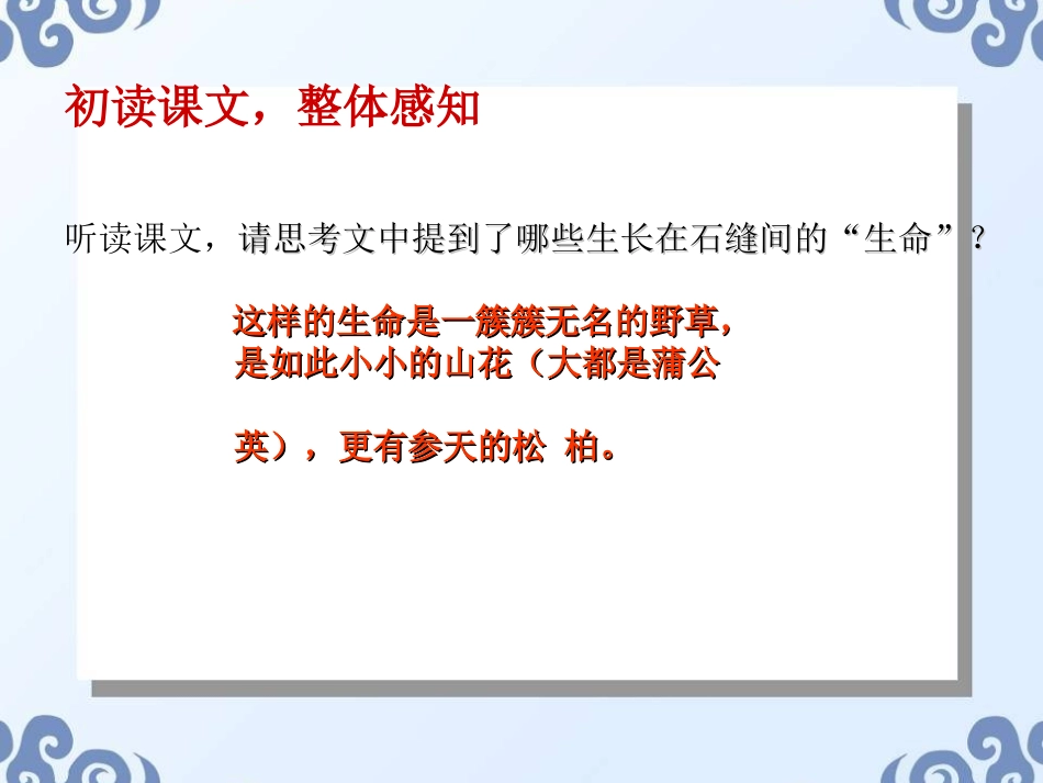 《石缝间的生命》_第3页