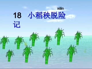 小稻秧脱险记PPT课件