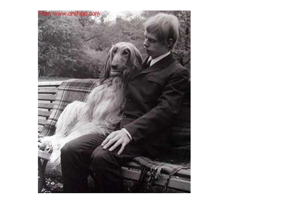 12-10-23高一数学《空间几何体的三视图和直观图》(课件)_第3页