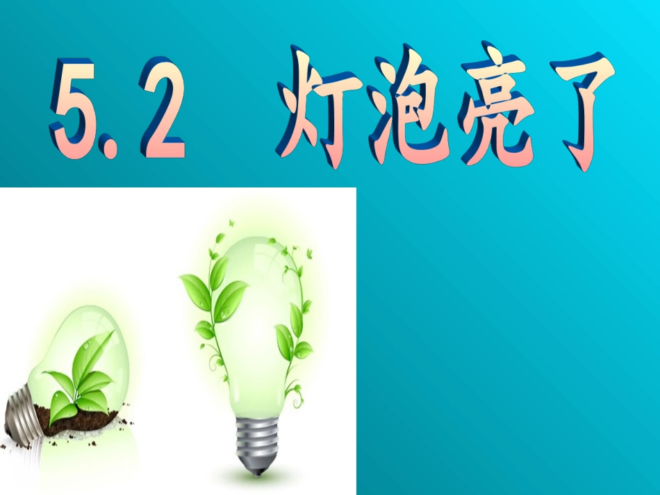 灯泡亮了课件3_第1页