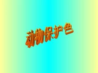 中大班科学：动物保护色