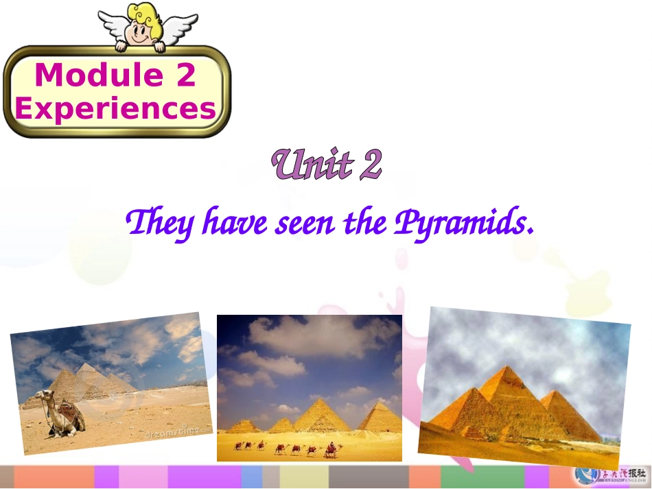 Unit2TheyhaveseenthePyramids.-(2)_第2页