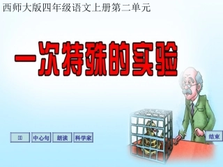 《一次特殊的实验》课件