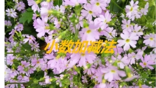 小学数学2011版本小学四年级小数加减法