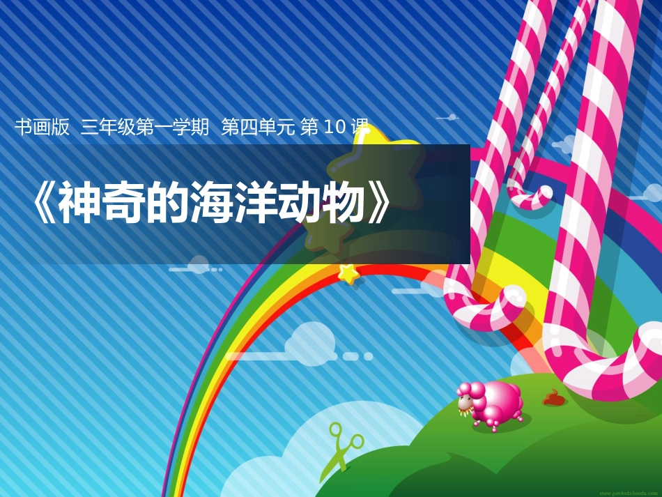 第10课《神奇的海洋动物》教学课件2_第1页