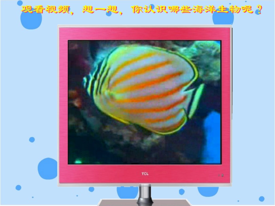 第10课《神奇的海洋动物》教学课件2_第2页