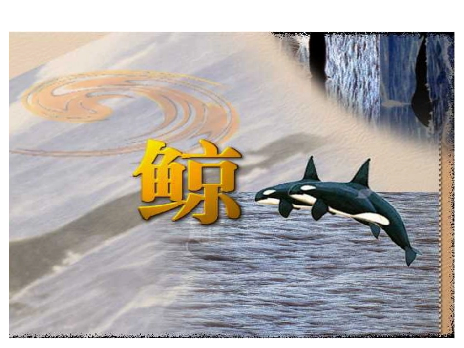 课件《鲸》(第二课时)_第1页