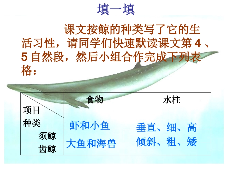 课件《鲸》(第二课时)_第3页