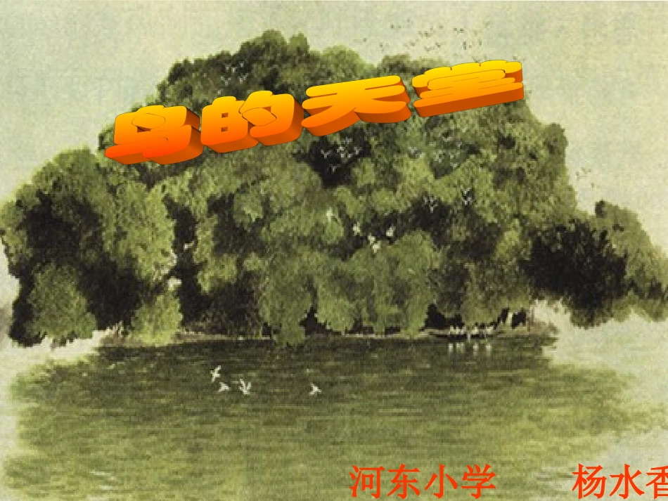 鸟的天堂PPT免费课件—杨水香_第1页