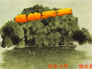 鸟的天堂PPT免费课件—杨水香