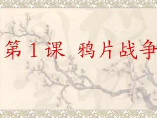 第1课鸦片战争-(8)