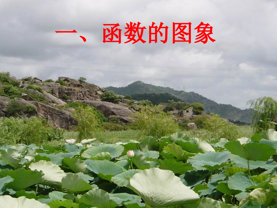 1.2.2函数的表示法(2)_第3页