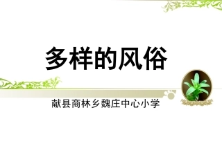 4.多样的风俗