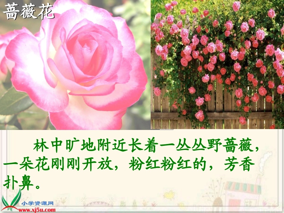 《我不是最弱小的》PPT课件_第3页