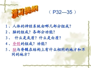 5.15.1人体的神经系统2