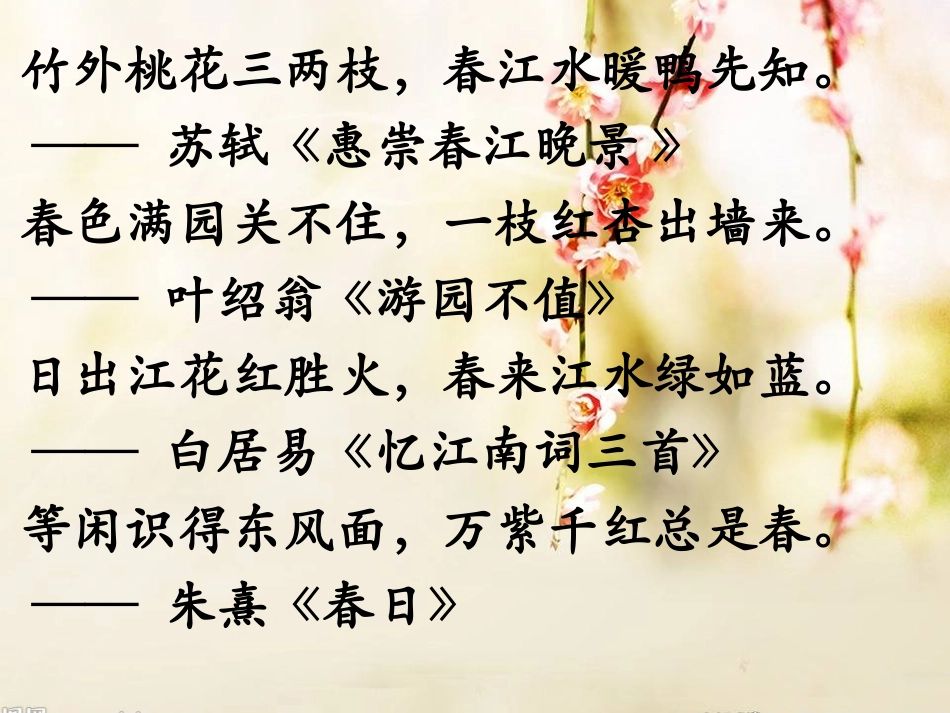 15.带着问题去春游(秋游)_第1页