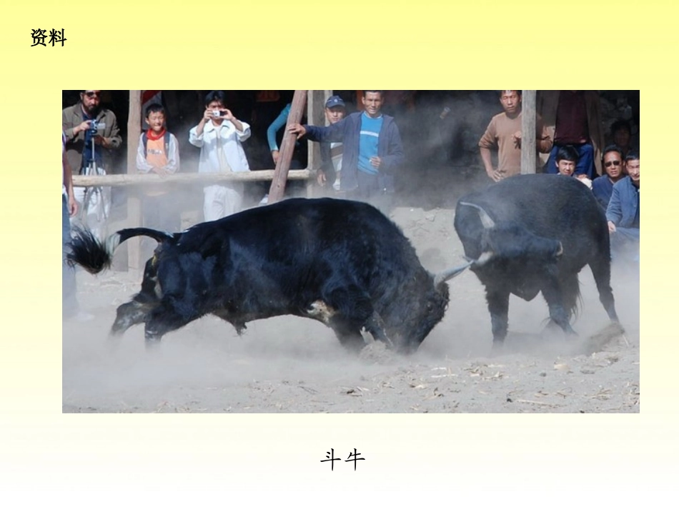 09牧童评画_第1页