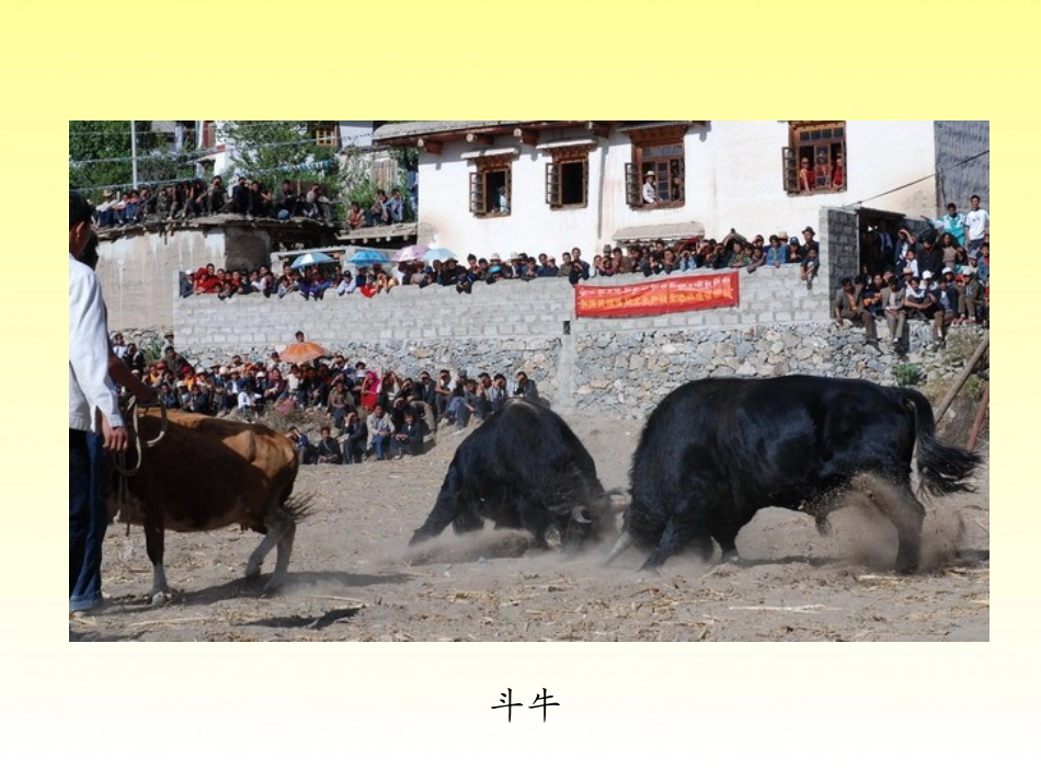 09牧童评画_第2页