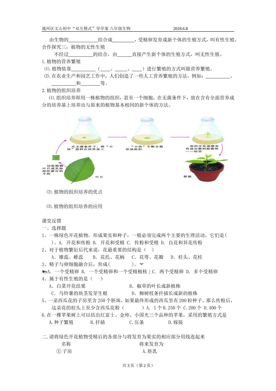 第1节植物的生殖-(2)_第2页