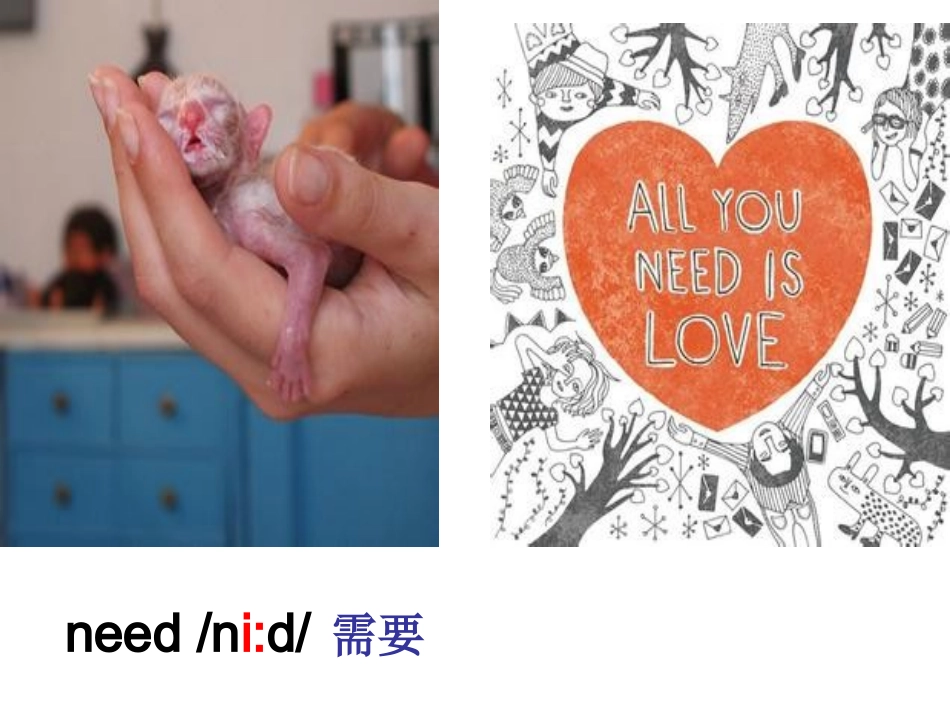 五年级module2_第2页