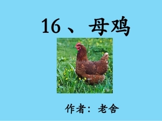 母鸡MicrosoftOfficePowerPoint演示文稿-(2)