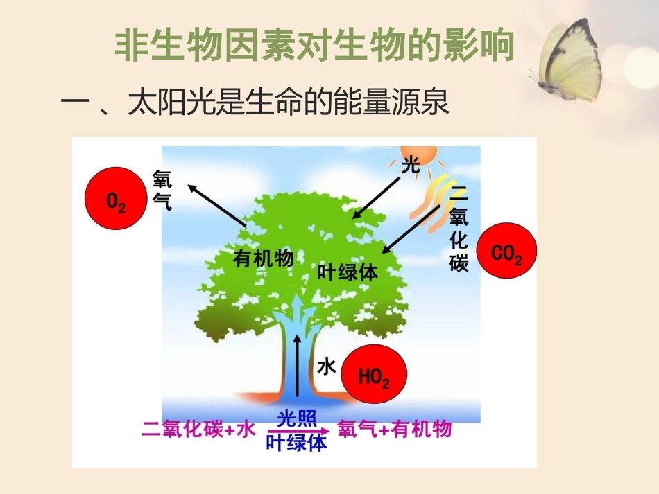 第1节生物的生存依赖一定的环境_第3页