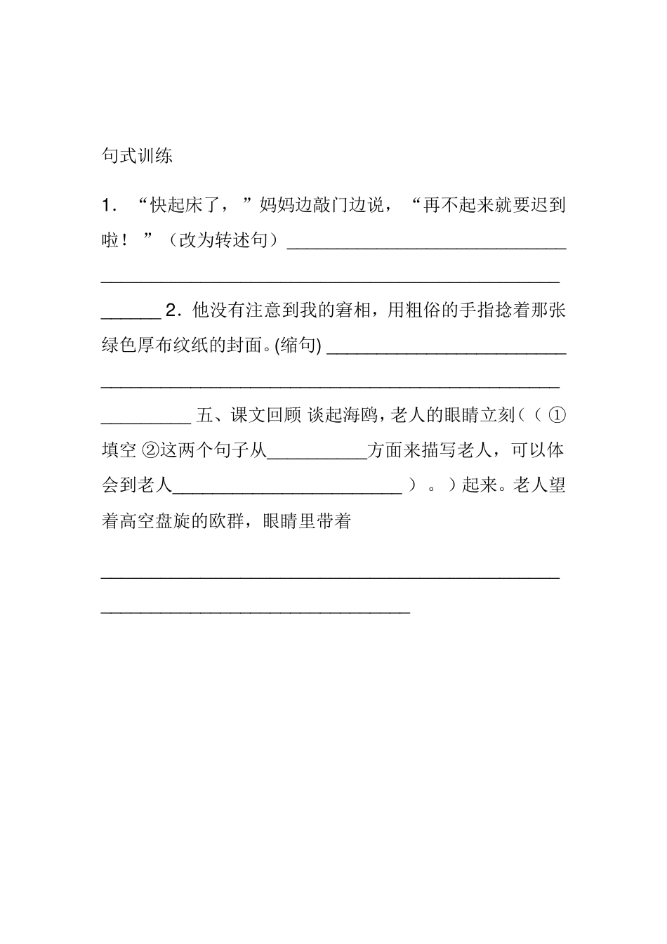 《老人与海鸥》分层作业-(2)_第2页