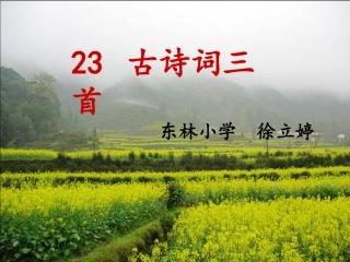 《乡村四月》《四时田园杂兴》课件2