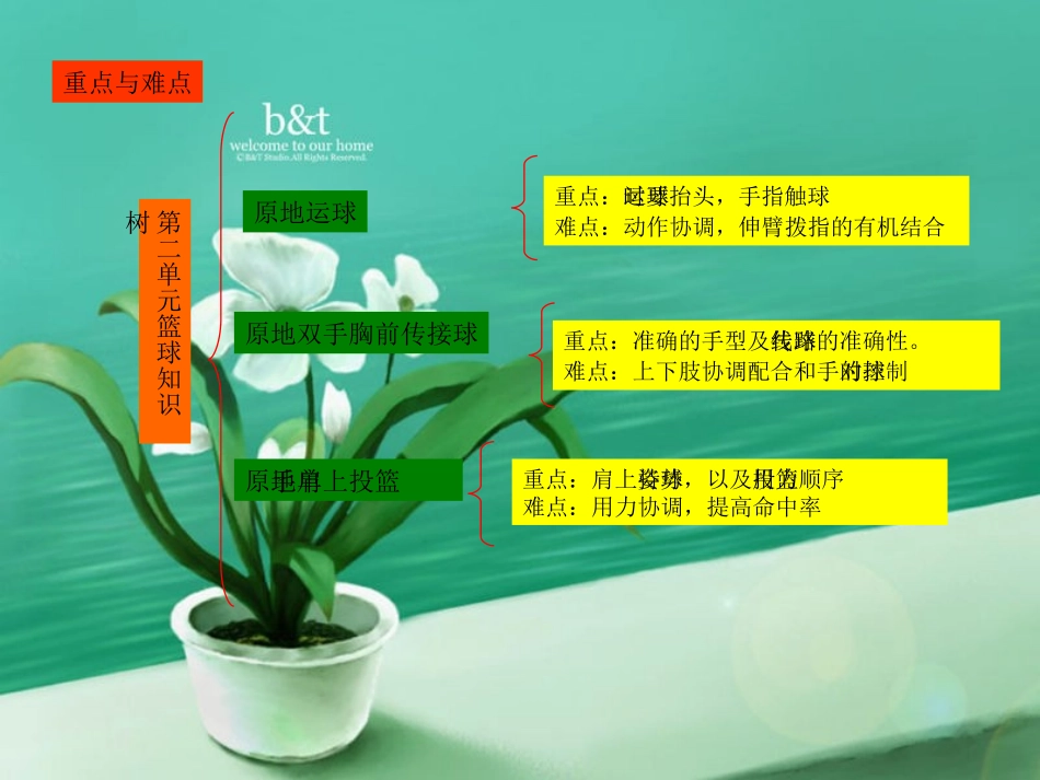 篮球单元知识树_第1页