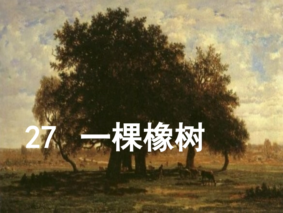 27一棵橡树_第1页