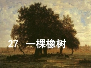 27一棵橡树
