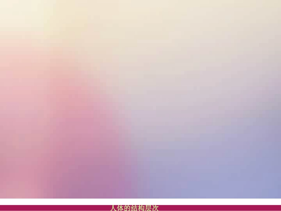 第三节植物体的结构层次_第3页