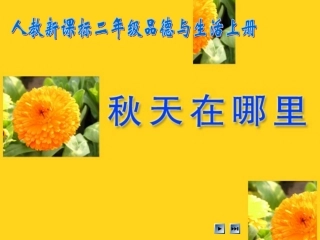 人教新课标品德与生活二年级上册《秋天在哪里》教学演示课件