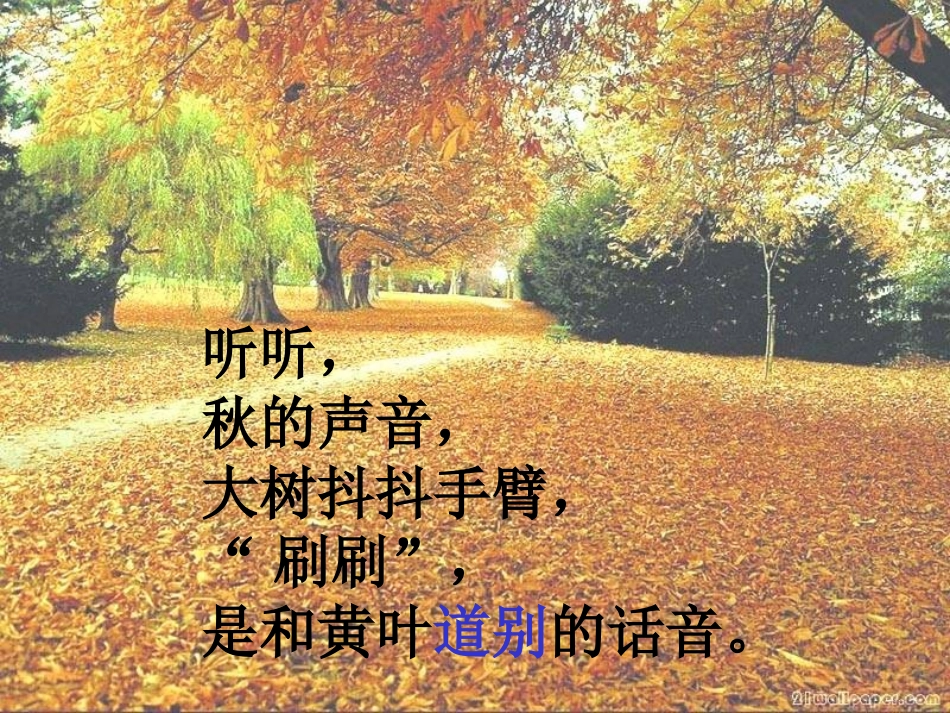 12听听-ok秋的声音_第3页