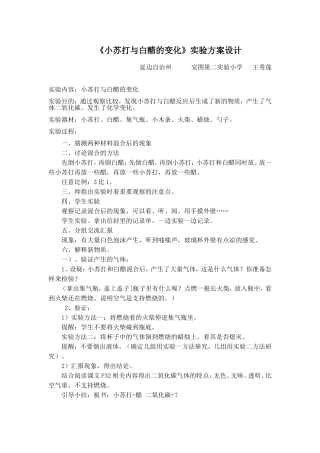 小学科学班--小苏打和白醋的实验方案---延边安图王秀莲