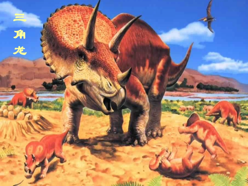 恐龙无处不有-(3)_第3页