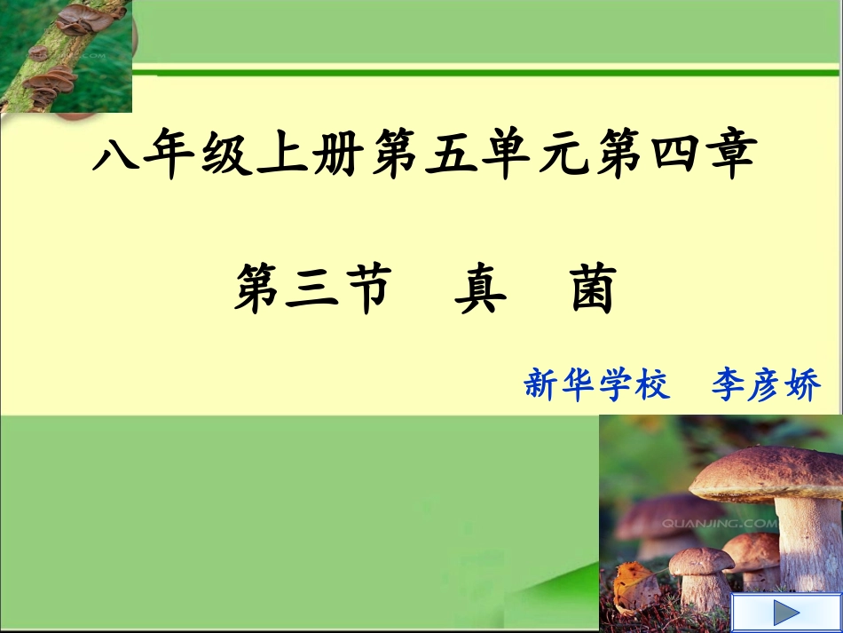 第三节-真菌_第1页