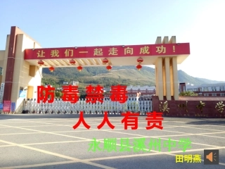 5.参与禁毒宣传活动-(2)