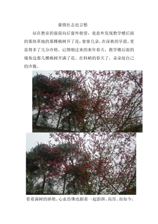 豪情壮志也言愁