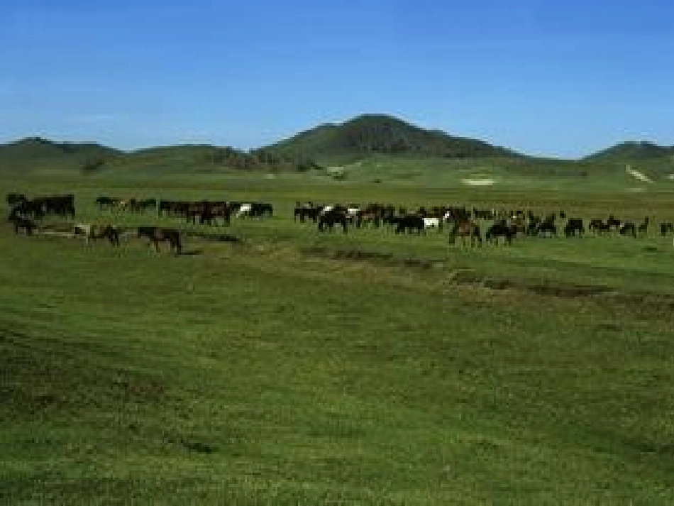 我是草原小牧民_第3页