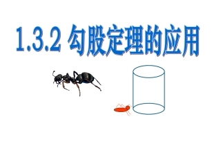 132勾股定理的应用