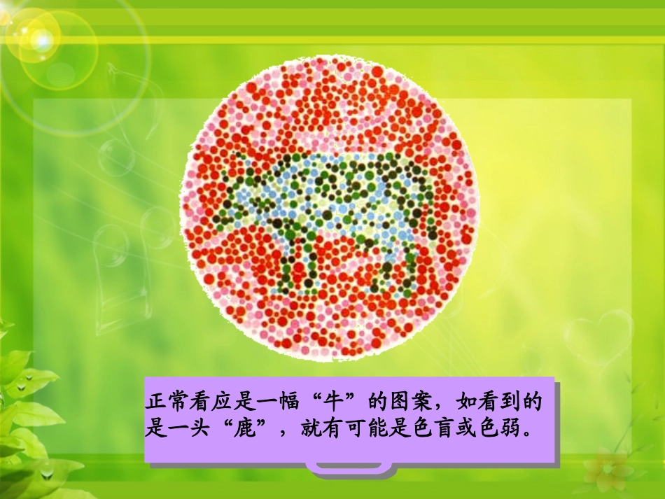 第三节遗传病与优生-(2)_第3页