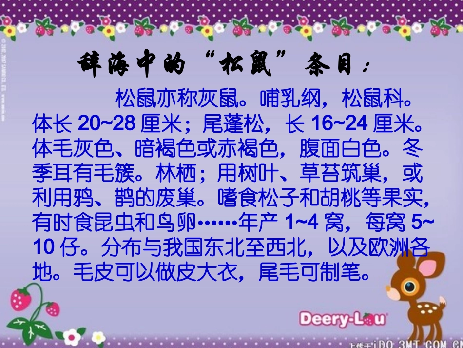 《松鼠》课件_第2页