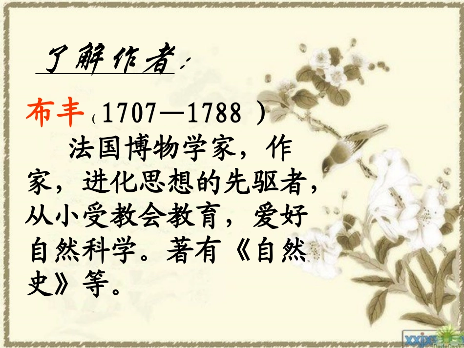 《松鼠》课件_第3页