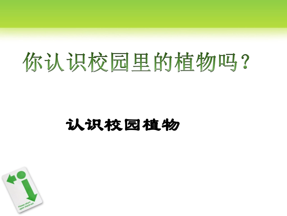 认识校园植物韦海询_第1页