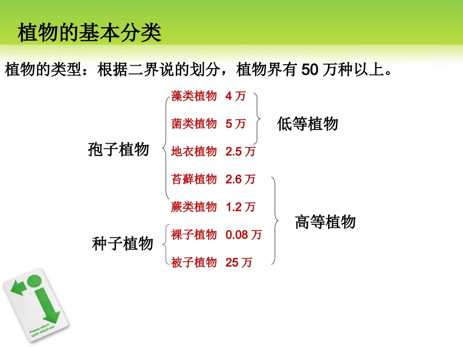 认识校园植物韦海询_第3页