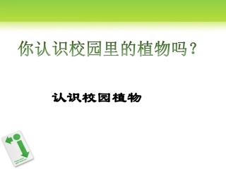 认识校园植物韦海询