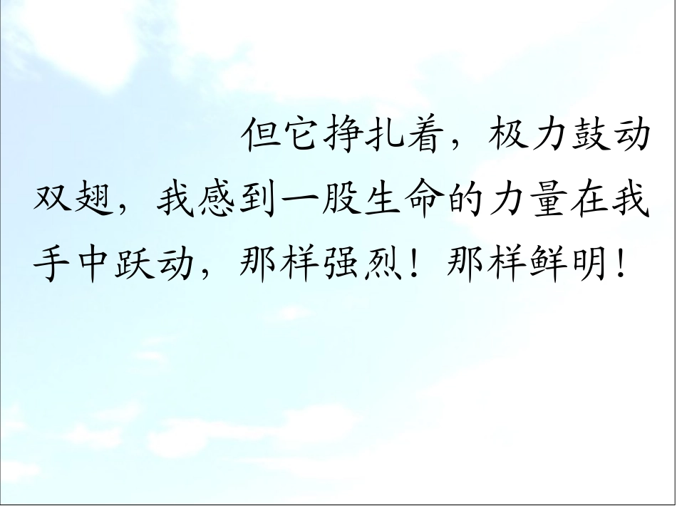 生命---生命_第2页